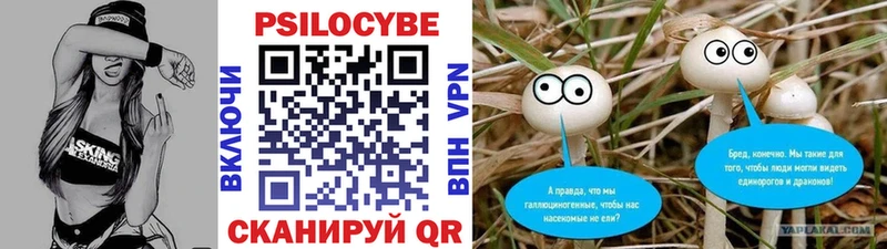 Псилоцибиновые грибы Cubensis Мосальск